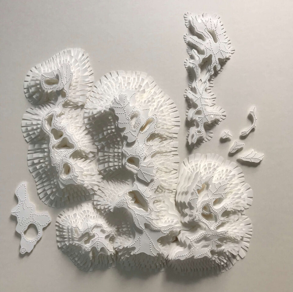 Archipels - Les os de la terre I, 40 x 65 cm, papier, 2021