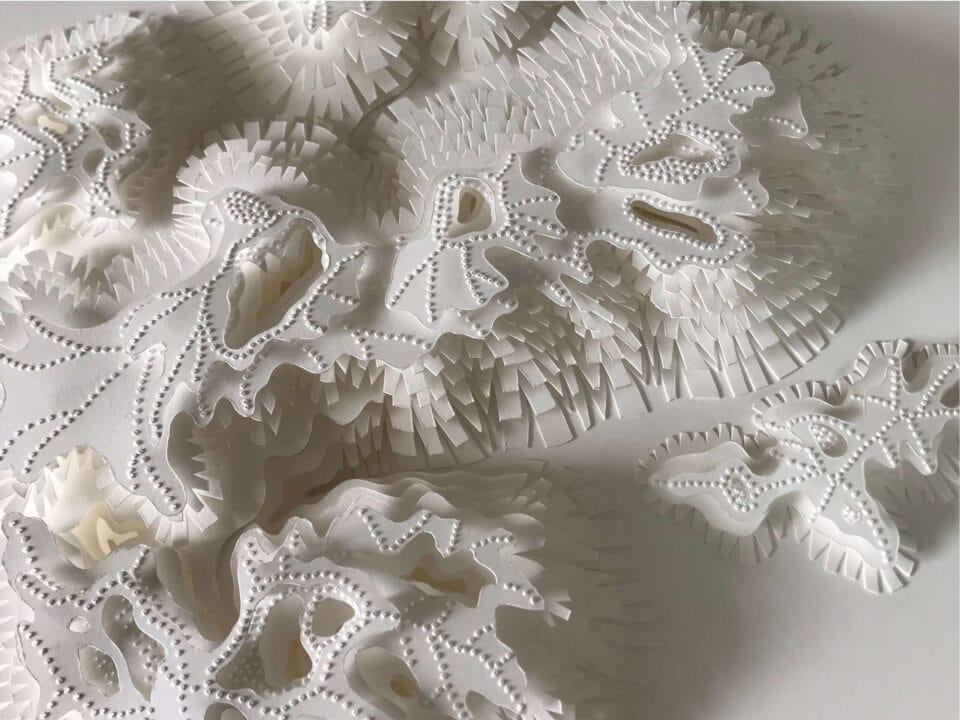 Archipels - Les os de la terre I, 40 x 65 cm, papier, 2021