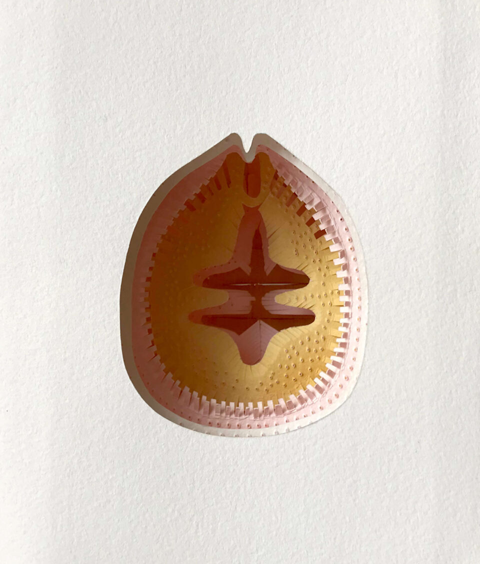 OPM, Objet Poétiquement Modifié, 16 x 19 cm, papier gouache, 2019